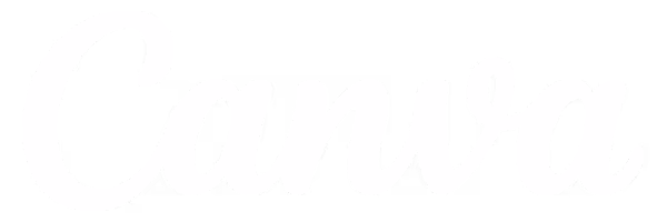 Canva - Fame Connect client