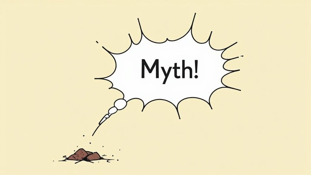 What's the biggest misconception people have about your field/work?