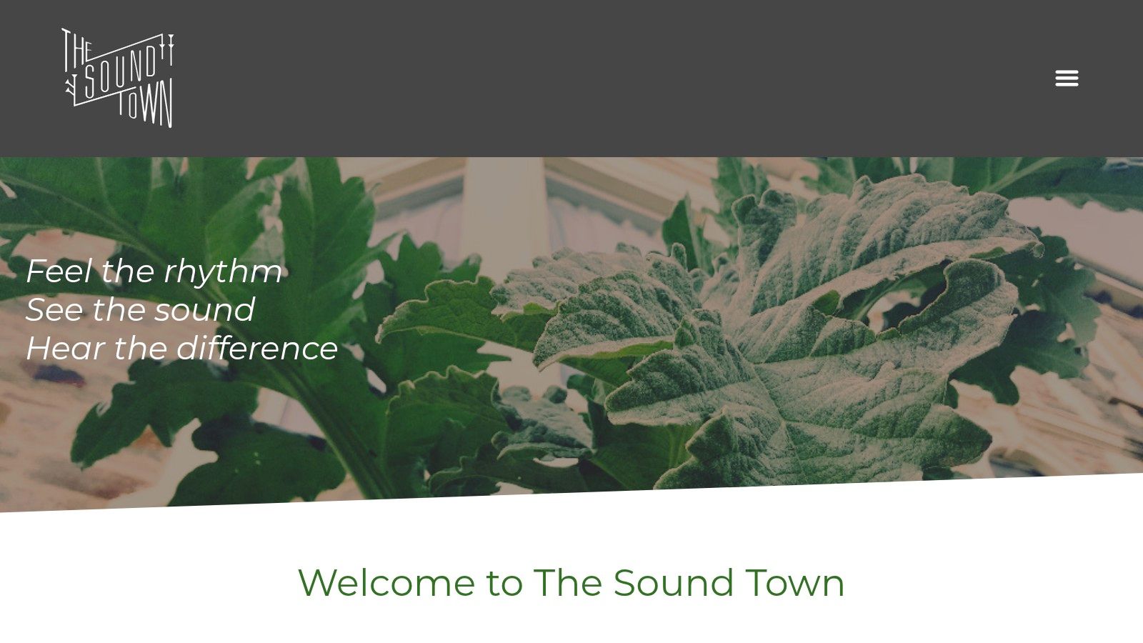 The Sound Town