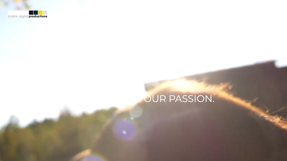Boston Digital Productions (BDP) homepage screenshot