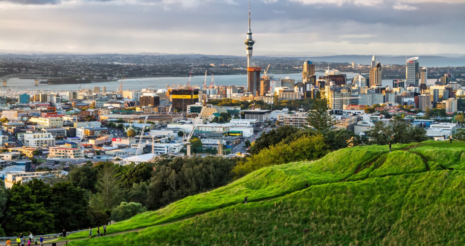How Fame Crew works in Auckland