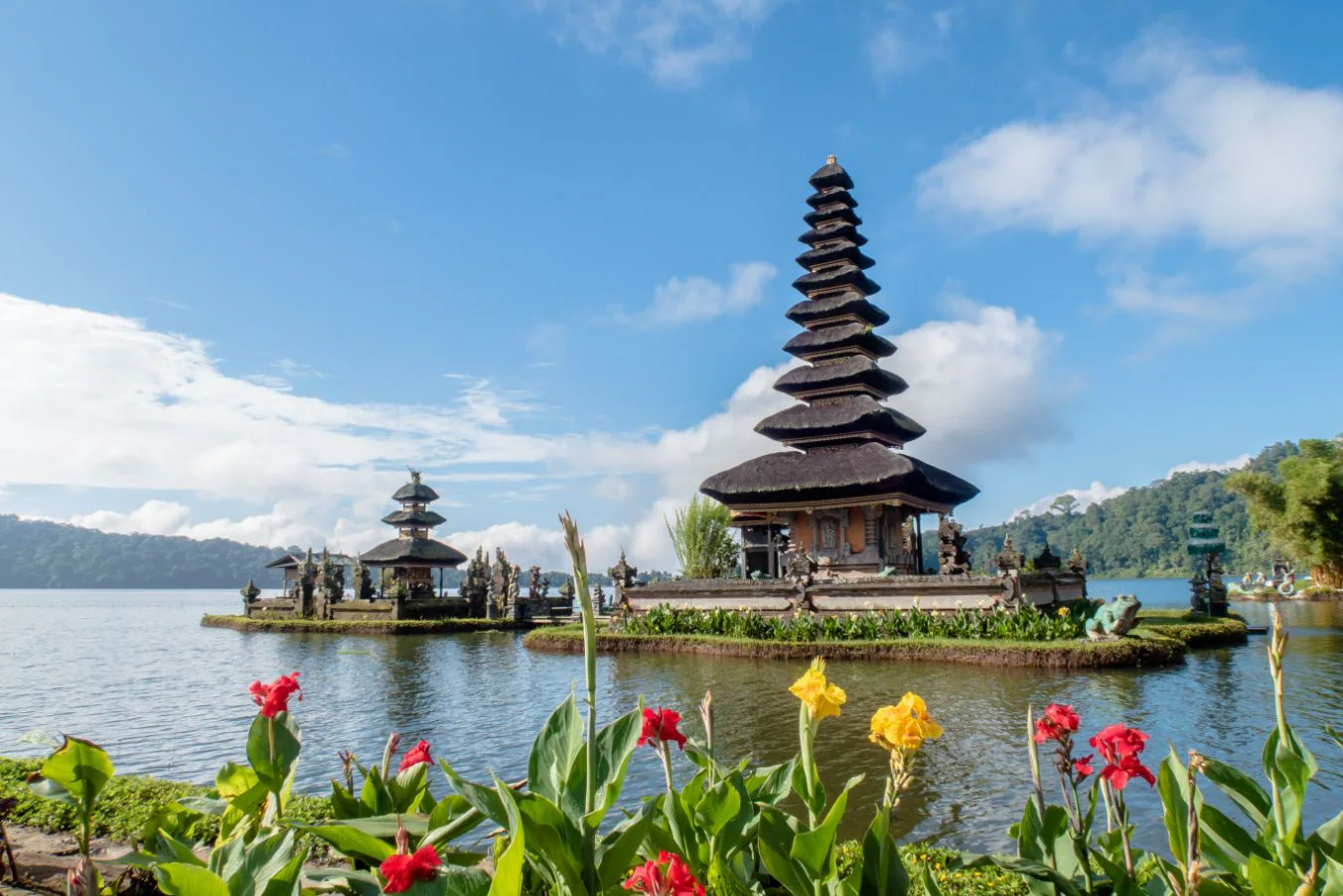How Fame Crew works in Bali