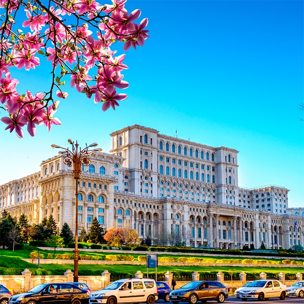 How Fame Crew works in Bucharest